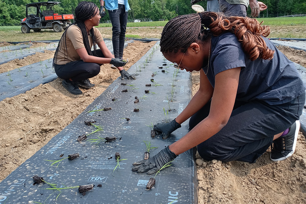 Exciting Sustainability-Driven Courses