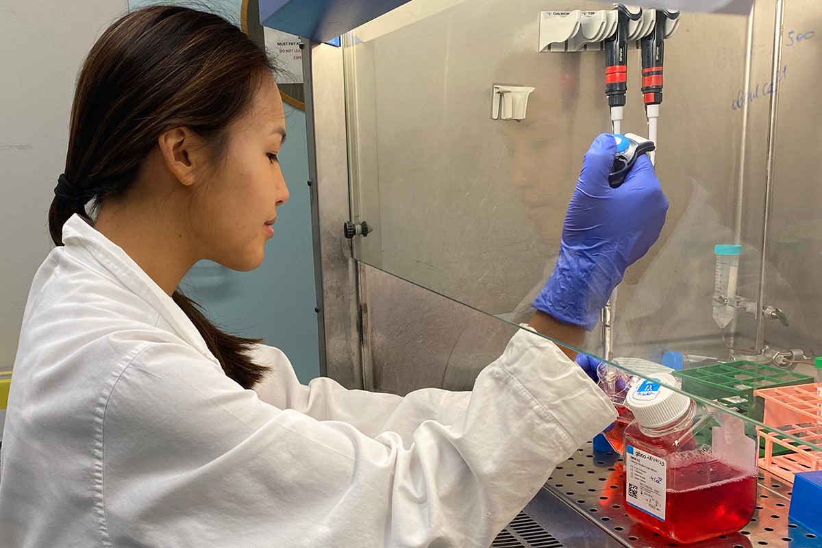 Tomiris Doskhozhina's summer research project: Investigating the effect of tunable mechanical loading on the proliferation of cancer cells in the Engineered Heart Tissue (EHT).